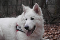 Meucci noch mit 8 Monaten